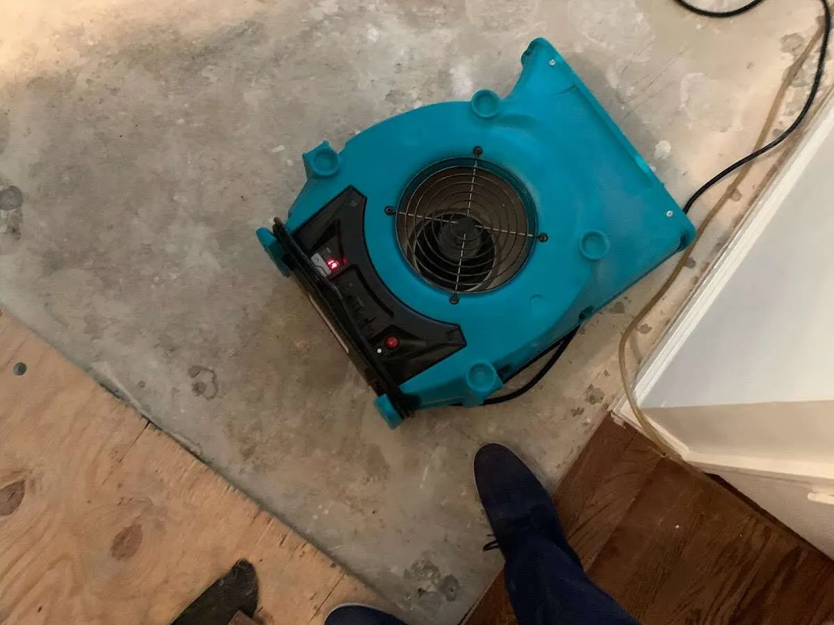 Air mover drying subfloor during Commercial Water Damage Restoration in Williams